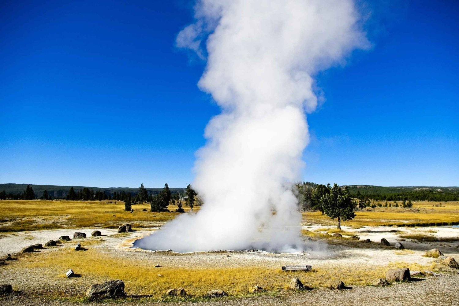 Salt Lake City: 3-dagers guidet tur i liten gruppe til Yellowstone