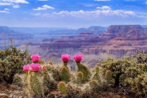 San Francisco: Yosemite, Las Vegas, Bryce & Zion, 6-daagse rondreis