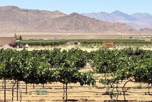 Dégustations de vins, de distilleries, de brasseries et de RT66 dans le désert pittoresque et déjeuner