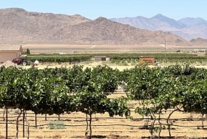Viner i ørkenen, smaksprøver på destilleri/bryggeri/RT66 og lunsj
