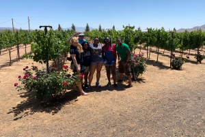 Naturskjønn ørkenvin, destilleriprovsmakinger/bryggeri/RT66 og lunsj