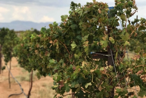 Naturskjønn ørkenvin, destilleriprovsmakinger/bryggeri/RT66 og lunsj