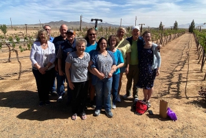 Naturskjønn ørkenvin, destilleriprovsmakinger/bryggeri/RT66 og lunsj