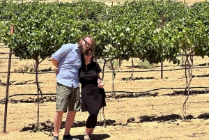 Naturskjønn ørkenvin, destilleriprovsmakinger/bryggeri/RT66 og lunsj