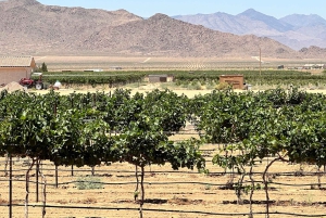 Naturskjønn ørkenvin, destilleriprovsmakinger/bryggeri/RT66 og lunsj