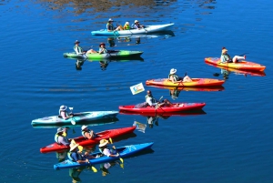 Escapade scénique : Visite guidée en kayak + visite à pied du barrage Hoover