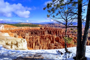 Navetta tra Las Vegas, Bryce, Zion e St George