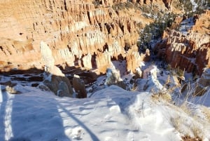 Kleingruppentour Zion & Bryce Canyon National ab Las Vegas