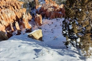 Wycieczka w małej grupie Zion & Bryce Canyon National z Las Vegas