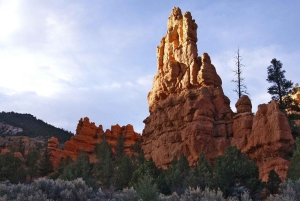 Tur med en lille gruppe Zion Bryce Canyon National fra Las Vegas