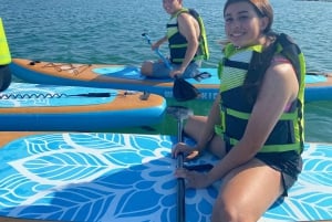 Lake Mead: Stand up Paddle board verhuur in de buurt van Las Vegas