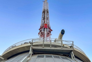 Tour STRAT Admission aux manèges à sensations fortes