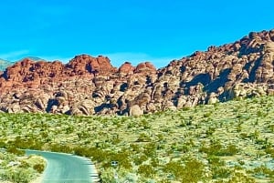 Tesla selvguidet Red Rock Canyon Loop Tour