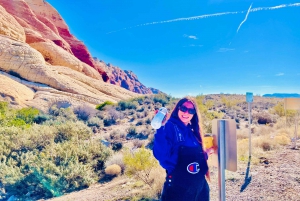 Visite guidée du Red Rock Canyon par Tesla