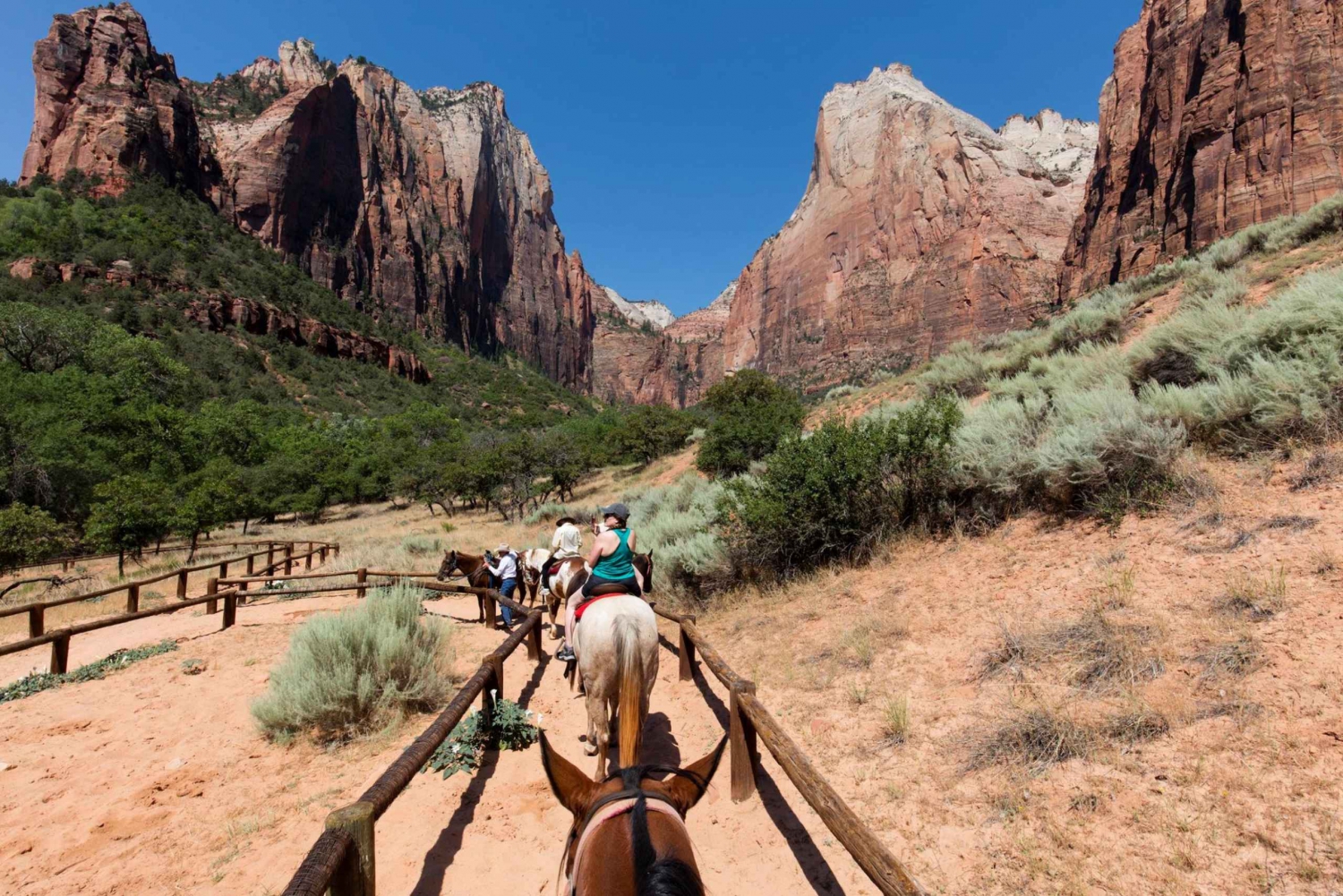 Las Vegas: Valley of Fire and Zion National Park 1-Day Tour