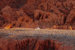 Las Vegas: Valley of Fire Helicopter with Scenic Landing