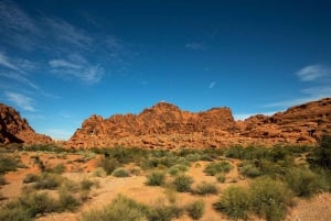 Las Vegas: Valley of Fire Guided Hike with Drinks and Snacks