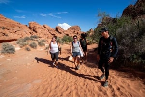 Wandeltocht met gids door Valley of Fire & avontuur in de Mojavewoestijn