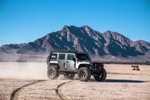 Valley of Fire: Red Sands Adventure Las Vegas Wildlife