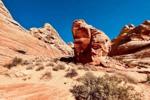 Las Vegas: Valley of Fire Scenic Tour & Lost City Museum