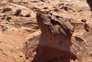 Valley of Fire State Park Tagestour von Las Vegas aus