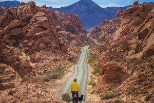 Tal des Feuers Tour & Wanderung