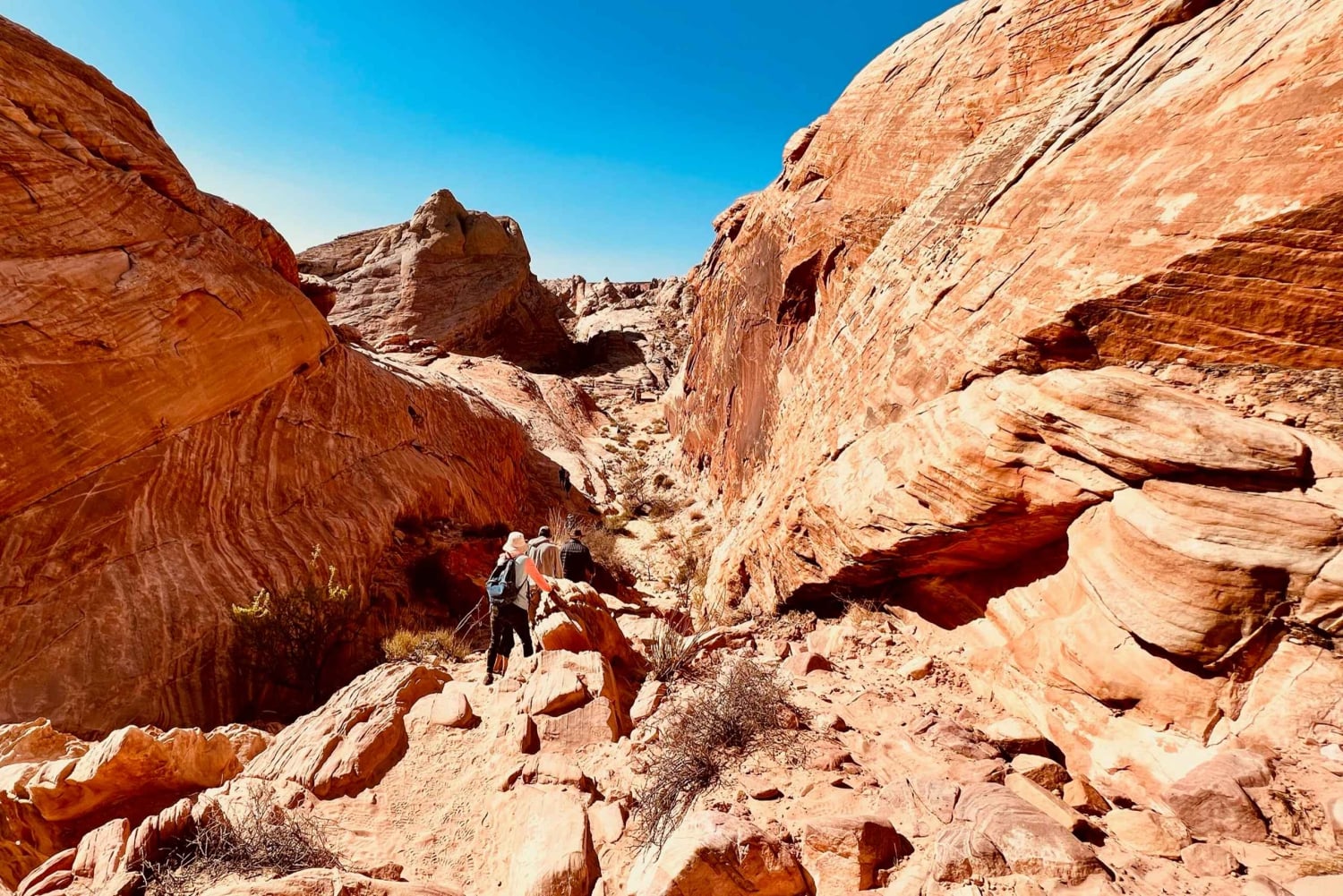 Tour VIP per piccoli gruppi della Valley of Fire da Las Vegas