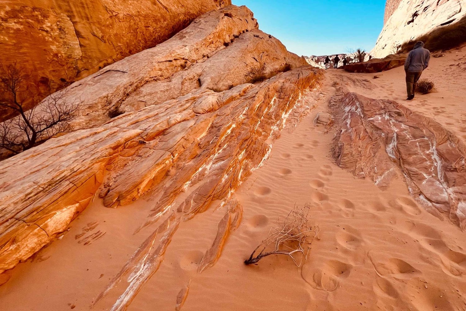 Tour VIP per piccoli gruppi della Valley of Fire da Las Vegas