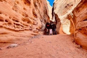 Tour VIP per piccoli gruppi della Valley of Fire da Las Vegas