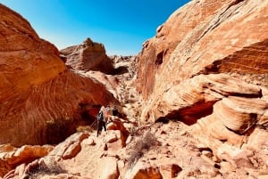 Tour VIP per piccoli gruppi della Valley of Fire da Las Vegas