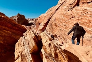 Tour VIP per piccoli gruppi della Valley of Fire da Las Vegas
