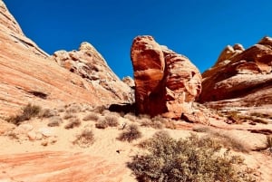Tour VIP per piccoli gruppi della Valley of Fire da Las Vegas