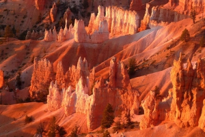 Las Vegas: 3 giorni ad Antelope Canyon, Bryce, Arches e Monument Valley