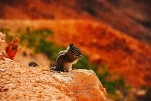 Las Vegas: 3 giorni ad Antelope Canyon, Bryce, Arches e Monument Valley