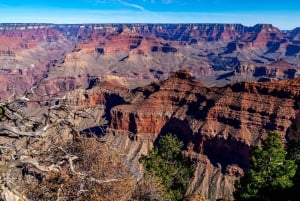 Las Vegas: Antelope Canyon, Grand Canyon, Zion e Horseshoe Bend