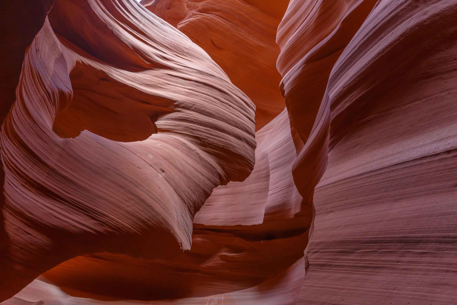 Vegas: Antelope Canyon & Horseshoe Bend VIP tur med en lille gruppe