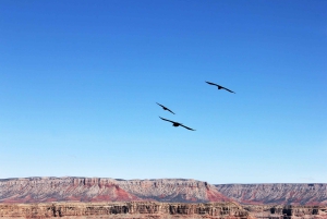 Vegas: Grand Canyon, Hoover Dam, Lunch/Skywalk Options, WiFi