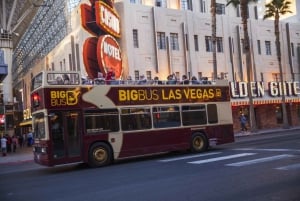 Vegas: Neon Museum Night Tour with Open-top Bus