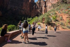 Vegas: Sedona, Antelope & Grand Canyon, Zion Park 7-Day Tour