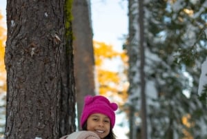 Avventura invernale a Las Vegas: Giornata sulla neve al Monte Charleston
