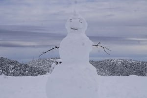 Avventura invernale a Las Vegas: Giornata sulla neve al Monte Charleston