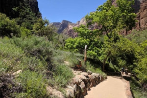 Vegas : Camp de 3 jours : Zion, Bryce, Monument Valley, Grand Canyon