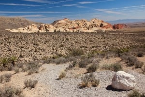 Visit Red Rock Canyon and Seven Magic Mountains with a French guide