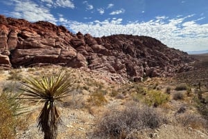 Visit Red Rock Canyon and Seven Magic Mountains with a French guide