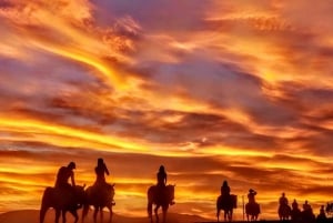 Las Vegasista: Desert Sunset Horseback Ride with BBQ Dinner (Aavikon auringonlaskun ratsastus ja BBQ-illallinen)