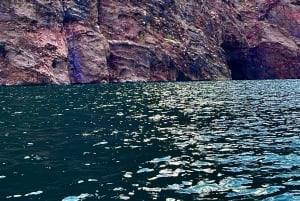 Willow Beach: 5 zatoczek i 2 jaskinie Wycieczka kajakowa do Emerald Cave
