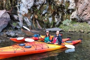 Willow Beach : Excursion d'une demi-journée en kayak dans le Black Canyon - sans navette