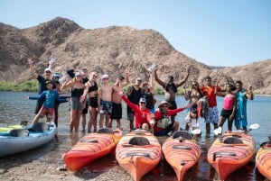 Willow Beach : Excursion d'une demi-journée en kayak dans le Black Canyon - sans navette