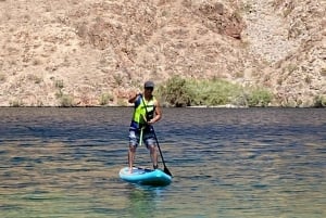 Willow Beach: Udlejning af stand up paddle boards nær Las Vegas