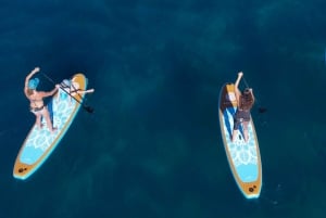 Willow Beach: Stand Up Paddle Board Verleih in der Nähe von Las Vegas